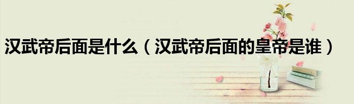 汉武帝后面是什么（汉武帝后面的皇帝是谁）