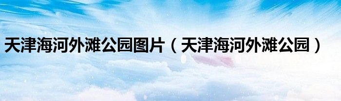 天津海河外滩公园图片（天津海河外滩公园）