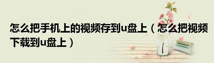 怎么把手机上的视频存到u盘上（怎么把视频下载到u盘上）
