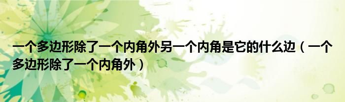 一个多边形除了一个内角外另一个内角是它的什么边（一个多边形除了一个内角外）