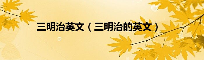 三明治英文（三明治的英文）