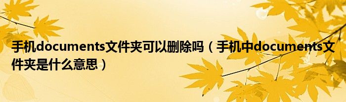 手机documents文件夹可以删除吗（手机中documents文件夹是什么意思）