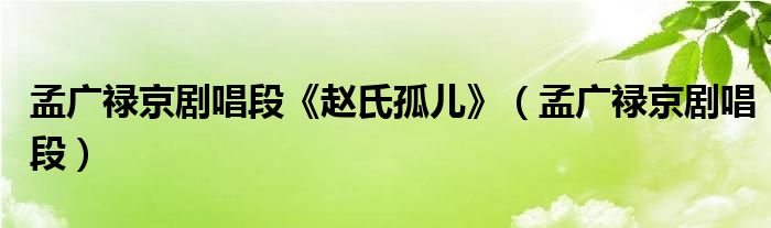 孟广禄京剧唱段《赵氏孤儿》（孟广禄京剧唱段）