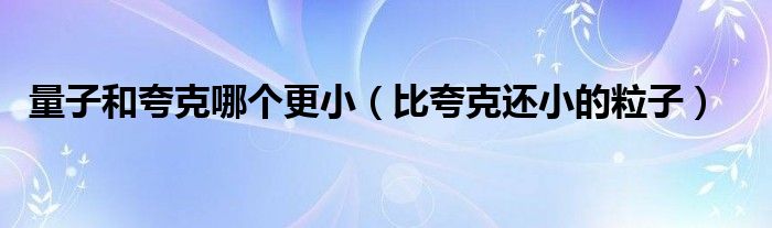 量子和夸克哪个更小（比夸克还小的粒子）