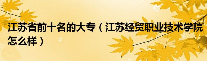江苏省前十名的大专（江苏经贸职业技术学院怎么样）