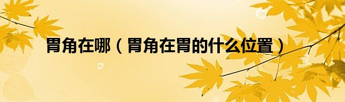 胃角在哪（胃角在胃的什么位置）