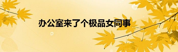 办公室来了个极品女同事