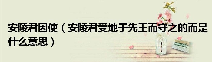 安陵君因使（安陵君受地于先王而守之的而是什么意思）