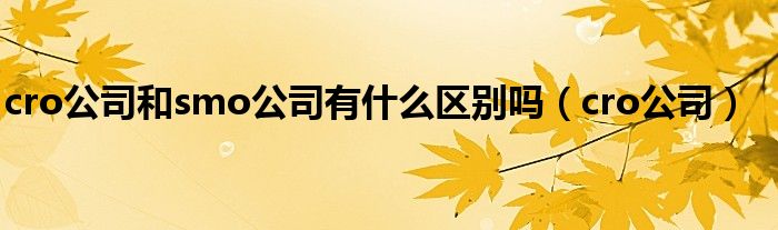cro公司和smo公司有什么区别吗（cro公司）