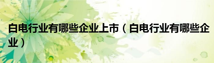 白电行业有哪些企业上市（白电行业有哪些企业）