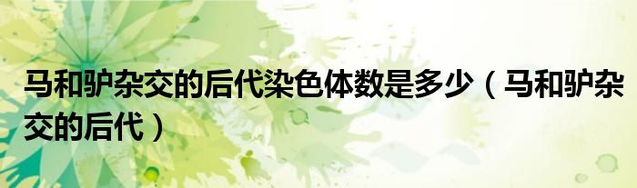 马和驴杂交的后代染色体数是多少（马和驴杂交的后代）