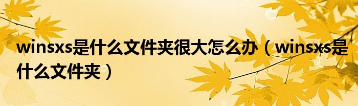 winsxs是什么文件夹很大怎么办（winsxs是什么文件夹）
