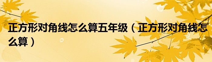 正方形对角线怎么算五年级（正方形对角线怎么算）