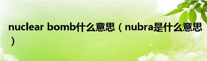 nuclear bomb什么意思（nubra是什么意思）