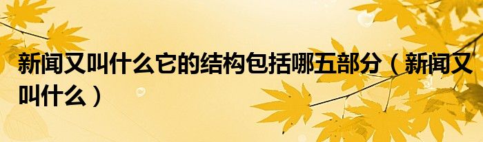 新闻又叫什么它的结构包括哪五部分（新闻又叫什么）