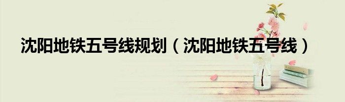 沈阳地铁五号线规划（沈阳地铁五号线）