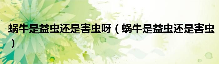 蜗牛是益虫还是害虫呀（蜗牛是益虫还是害虫）