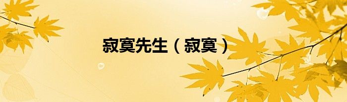 寂寞先生（寂寞）