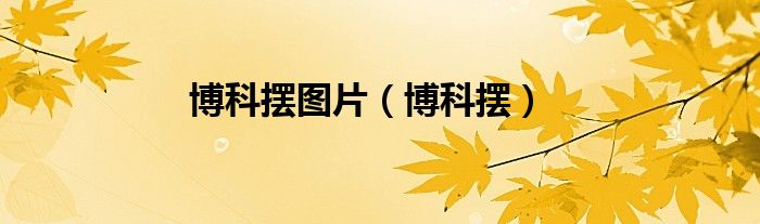 博科摆图片（博科摆）