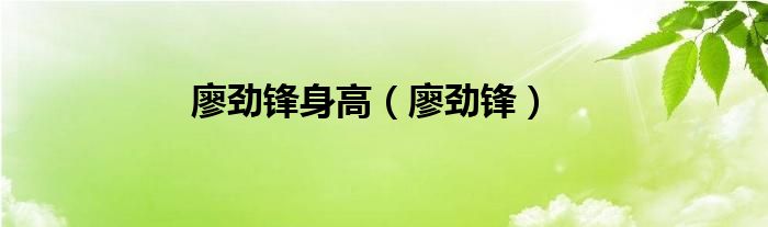 廖劲锋身高（廖劲锋）