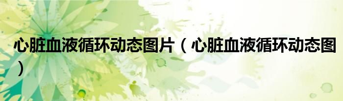 心脏血液循环动态图片（心脏血液循环动态图）