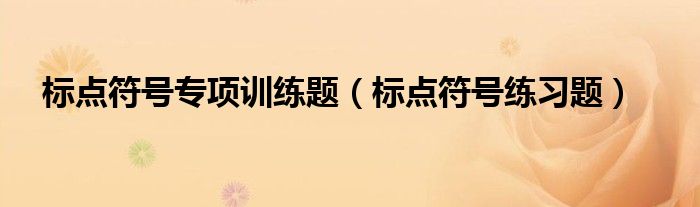 标点符号专项训练题（标点符号练习题）