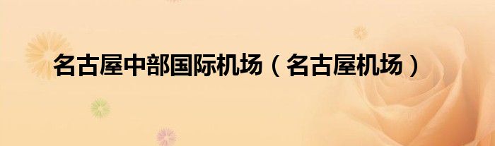 名古屋中部国际机场（名古屋机场）