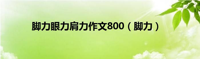 脚力眼力肩力作文800（脚力）