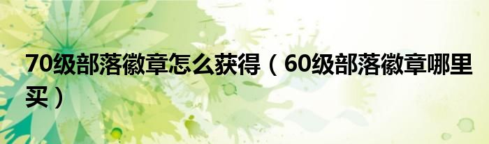 70级部落徽章怎么获得（60级部落徽章哪里买）