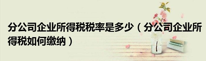分公司企业所得税税率是多少（分公司企业所得税如何缴纳）