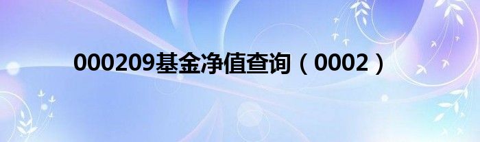 000209基金净值查询（0002）