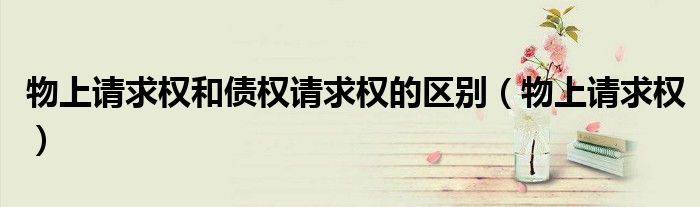 物上请求权和债权请求权的区别（物上请求权）