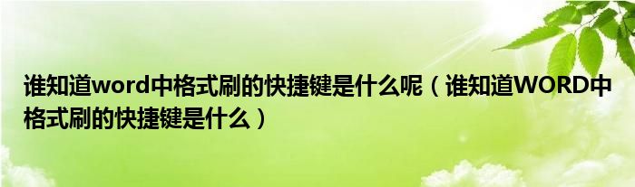 谁知道word中格式刷的快捷键是什么呢（谁知道WORD中格式刷的快捷键是什么）