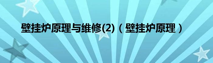 壁挂炉原理与维修(2)（壁挂炉原理）