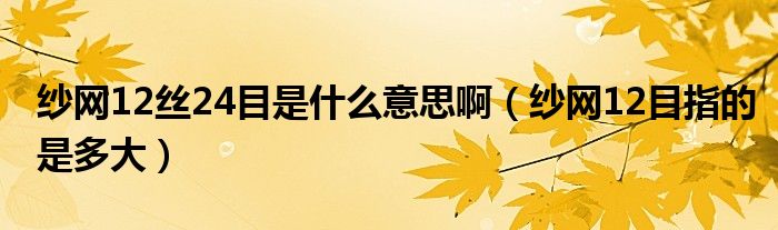 纱网12丝24目是什么意思啊（纱网12目指的是多大）