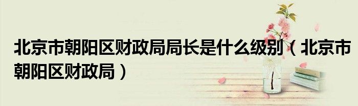 北京市朝阳区财政局局长是什么级别（北京市朝阳区财政局）