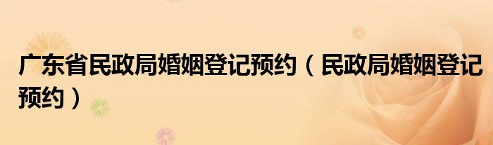 广东省民政局婚姻登记预约（民政局婚姻登记预约）