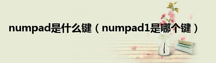 numpad是什么键（numpad1是哪个键）