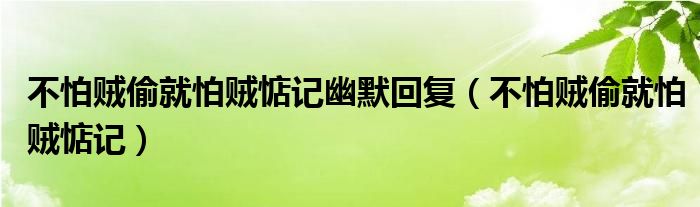 不怕贼偷就怕贼惦记幽默回复（不怕贼偷就怕贼惦记）