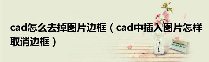 cad怎么去掉图片边框（cad中插入图片怎样取消边框）