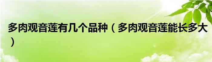 多肉观音莲有几个品种（多肉观音莲能长多大）