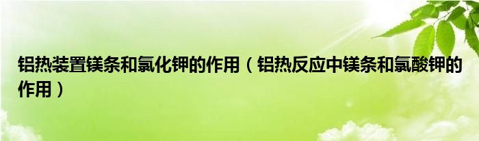 铝热装置镁条和氯化钾的作用（铝热反应中镁条和氯酸钾的作用）