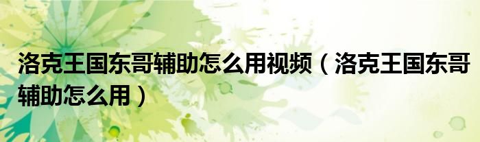 洛克王国东哥辅助怎么用视频（洛克王国东哥辅助怎么用）