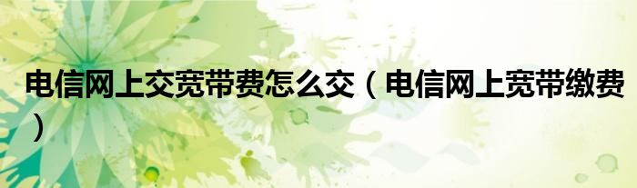 电信网上交宽带费怎么交（电信网上宽带缴费）