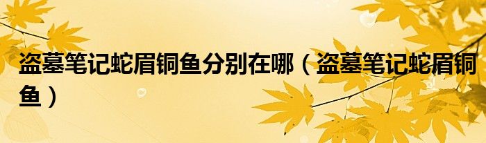 盗墓笔记蛇眉铜鱼分别在哪（盗墓笔记蛇眉铜鱼）