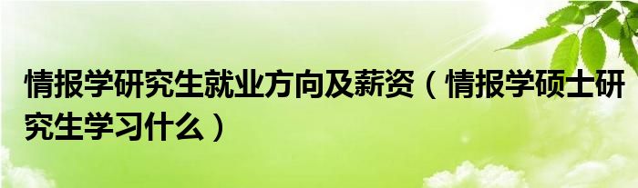 情报学研究生就业方向及薪资（情报学硕士研究生学习什么）