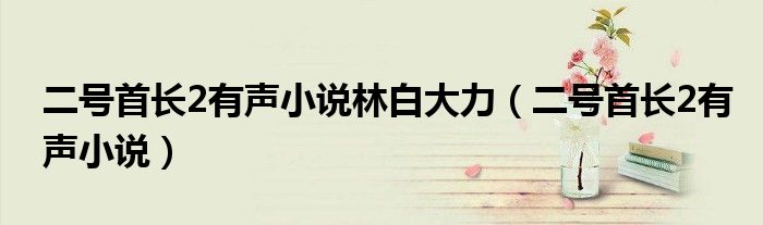 二号首长2有声小说林白大力（二号首长2有声小说）