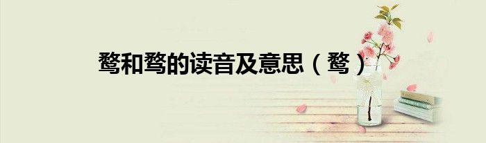 鹜和骛的读音及意思（鹜）