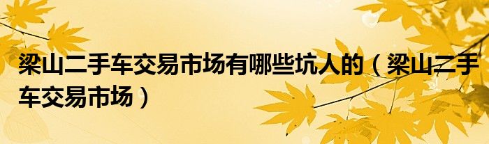 梁山二手车交易市场有哪些坑人的（梁山二手车交易市场）