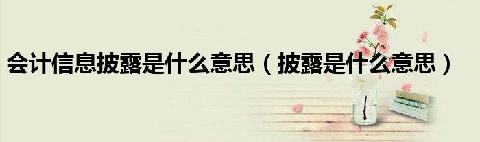 会计信息披露是什么意思（披露是什么意思）